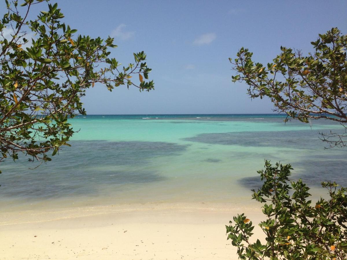 Bungalow La Papaye Bleue Residence Acces Piscine & Plage Saint-Francois  Luaran gambar