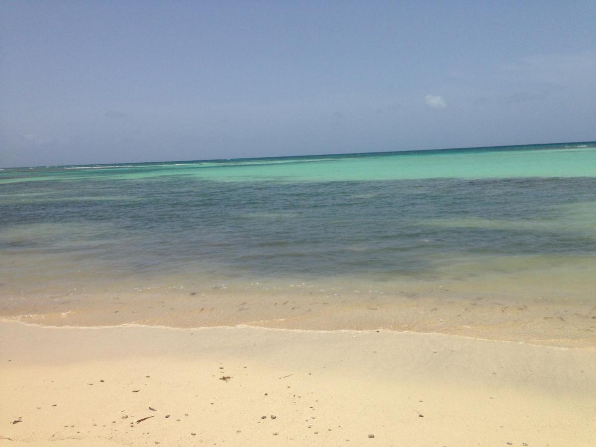 Bungalow La Papaye Bleue Residence Acces Piscine & Plage Saint-Francois  Luaran gambar