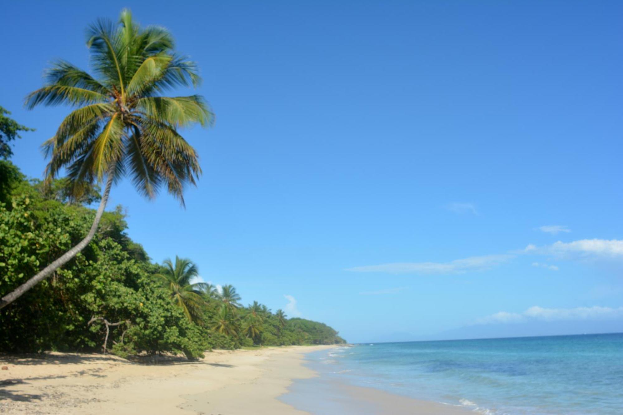 Bungalow La Papaye Bleue Residence Acces Piscine & Plage Saint-Francois  Luaran gambar