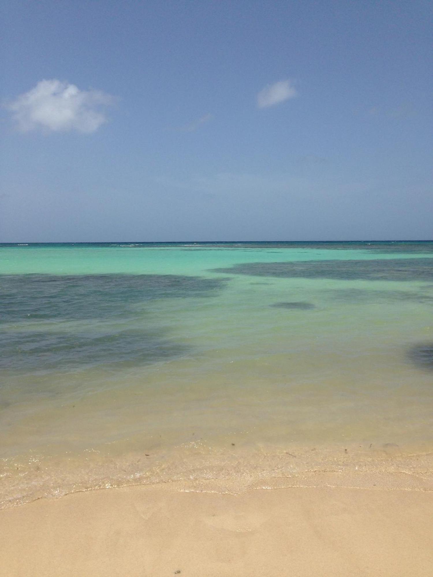 Bungalow La Papaye Bleue Residence Acces Piscine & Plage Saint-Francois  Luaran gambar