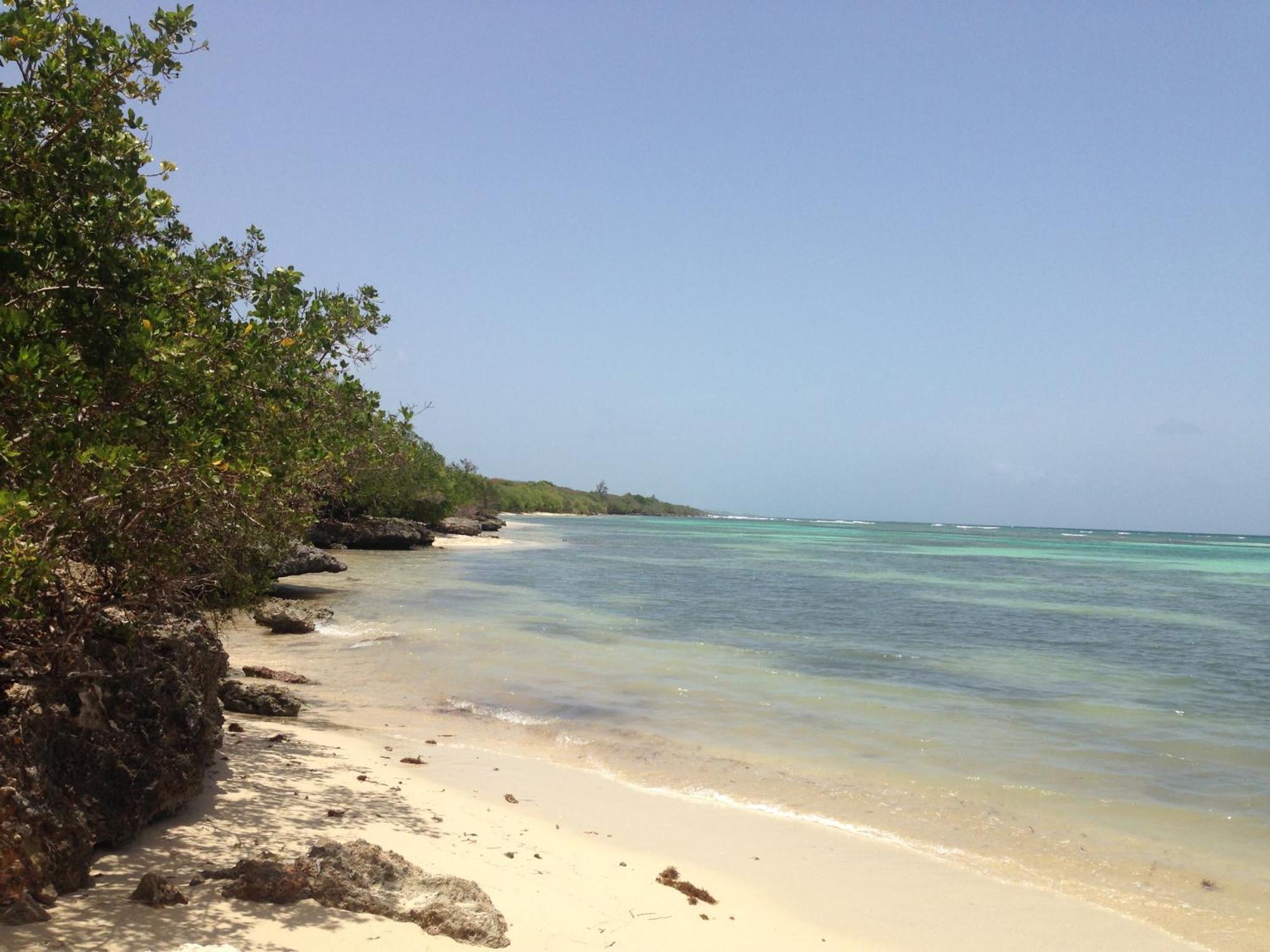 Bungalow La Papaye Bleue Residence Acces Piscine & Plage Saint-Francois  Luaran gambar